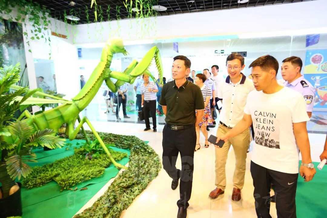 自贡国际恐龙灯光节于8月9日即将魔幻开场