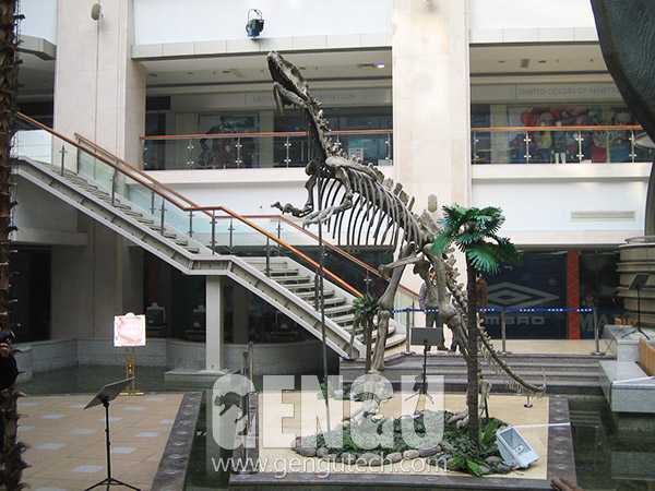 永川龙化石(FP-268)