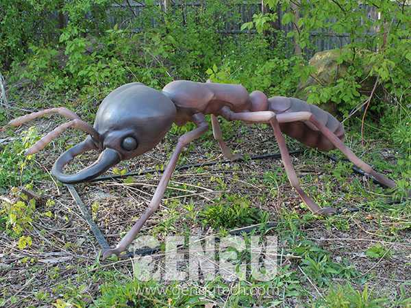 红蚂蚁(AI-487)
